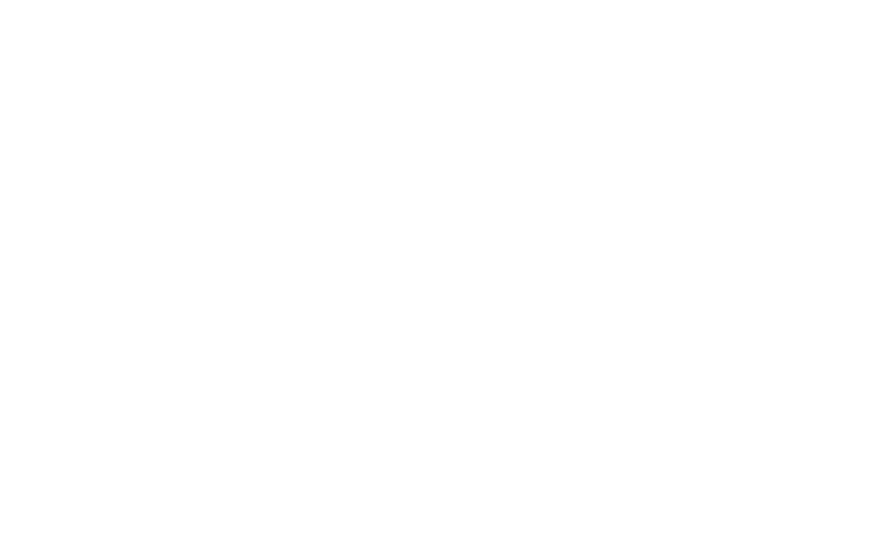 Saran Electronics